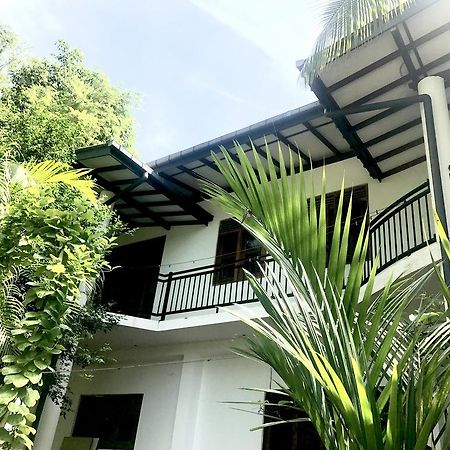 Mount Nature Villa هيكادوفا المظهر الخارجي الصورة