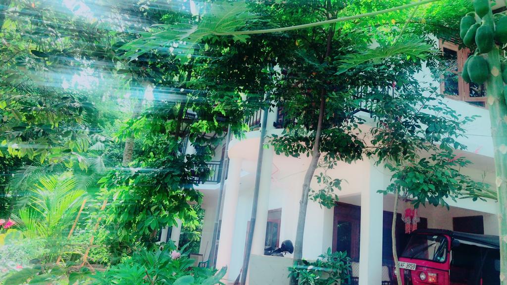Mount Nature Villa هيكادوفا المظهر الخارجي الصورة
