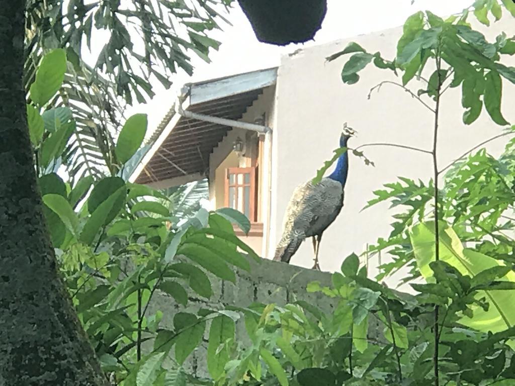 Mount Nature Villa هيكادوفا الغرفة الصورة