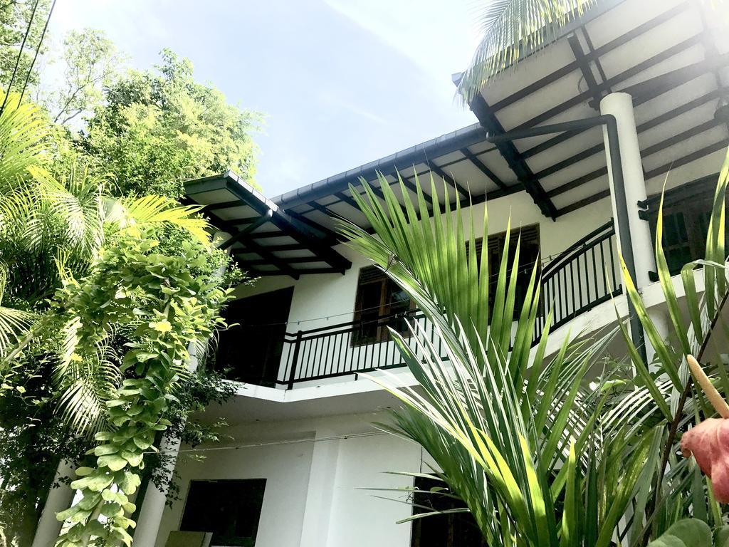 Mount Nature Villa هيكادوفا المظهر الخارجي الصورة