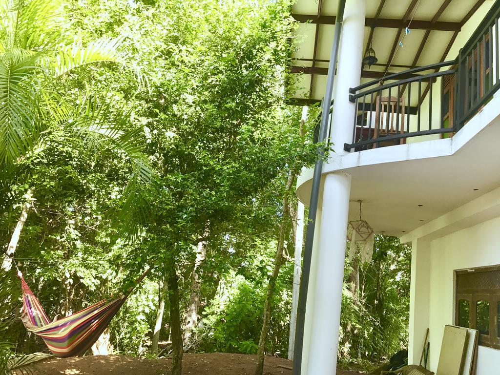 Mount Nature Villa هيكادوفا المظهر الخارجي الصورة